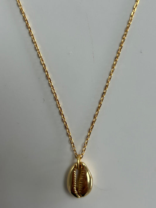 (New) Cowrie Shell Necklace